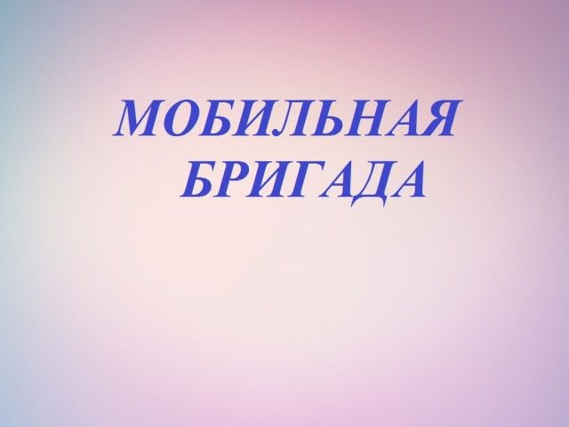 Мобильная бригада